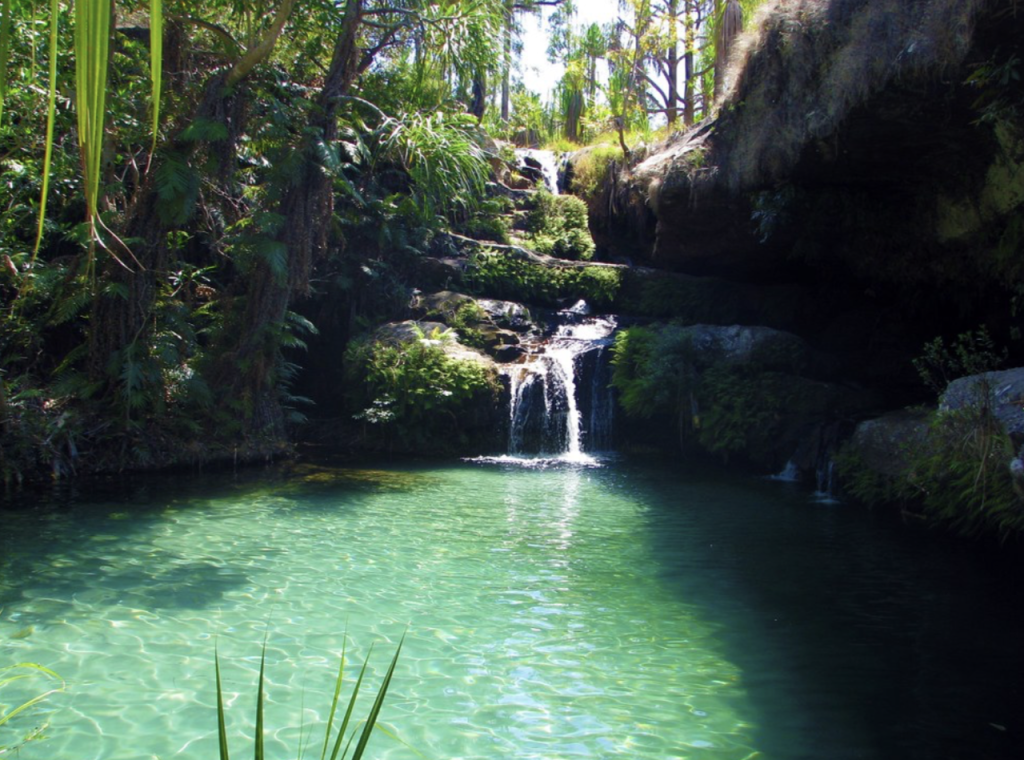 Piscine Naturelle